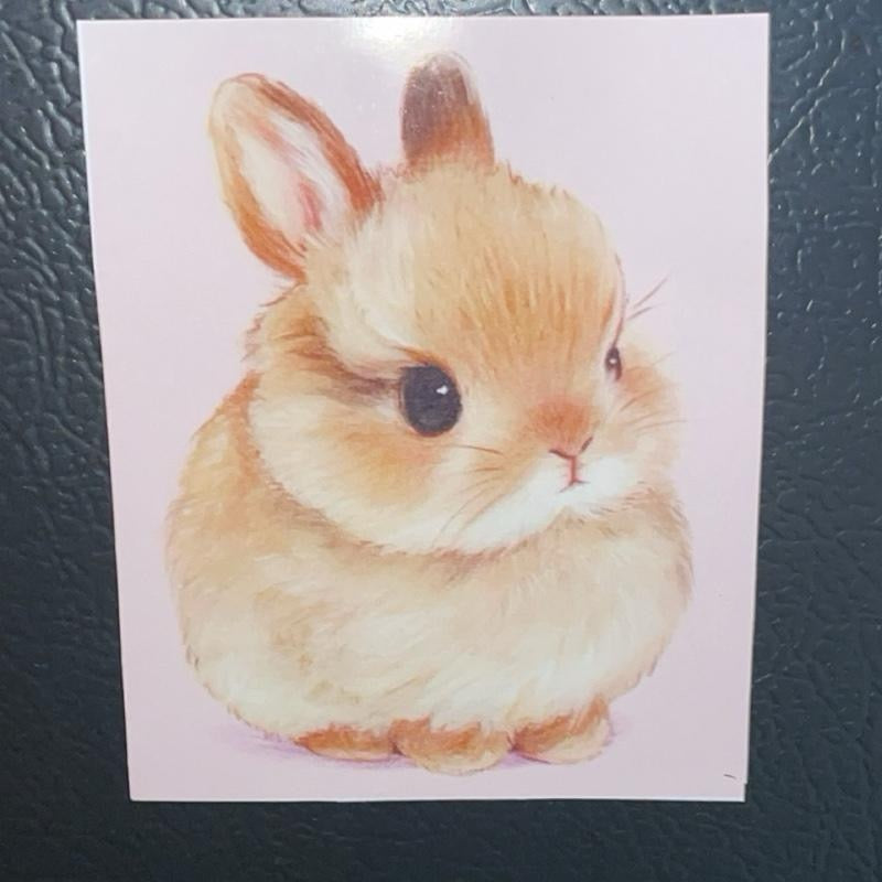 3 Piece Set of Adorable Baby Animal Magnets Featuring a Cute Bunny Otter and Duck Design for Fridge Decor