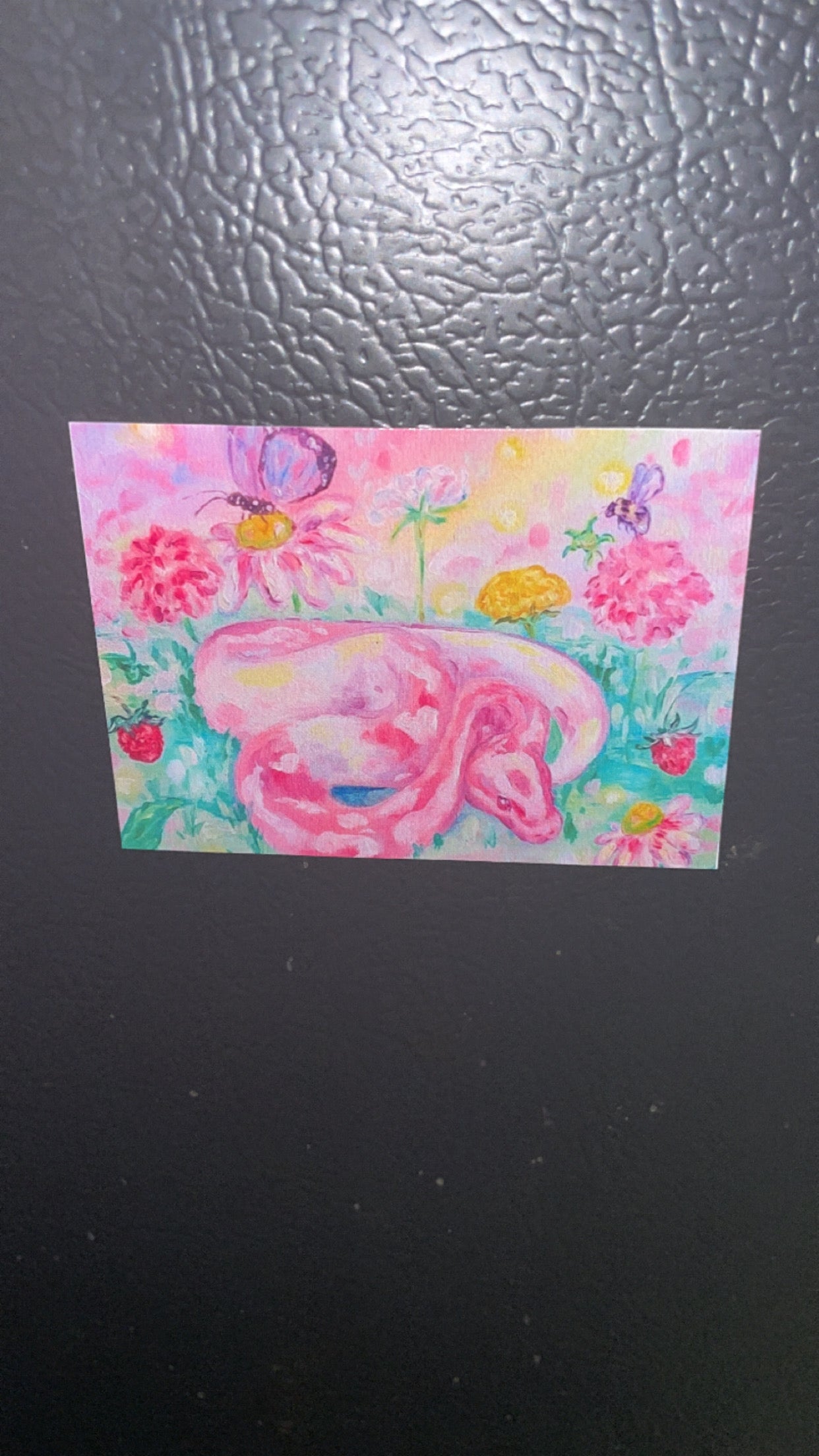 Pastel Pals Fridge Magnets Set of 4