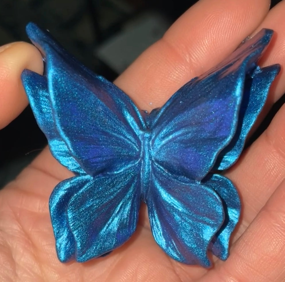 Butterfly Fridge Magnet 🦋